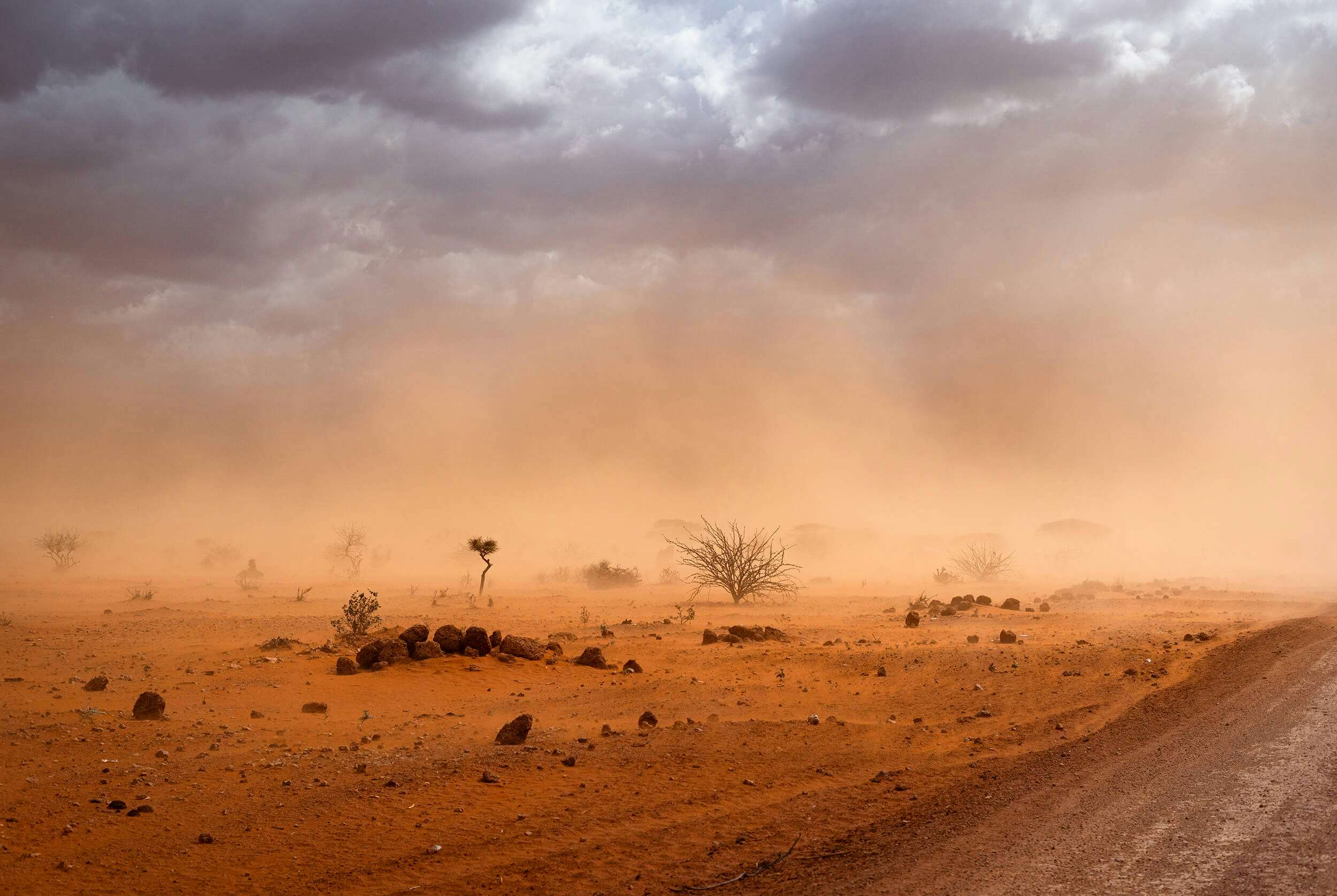 Somalia’s Drought Crisis: A Race Against Time